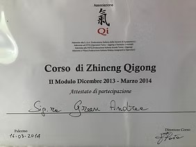 Director certificate